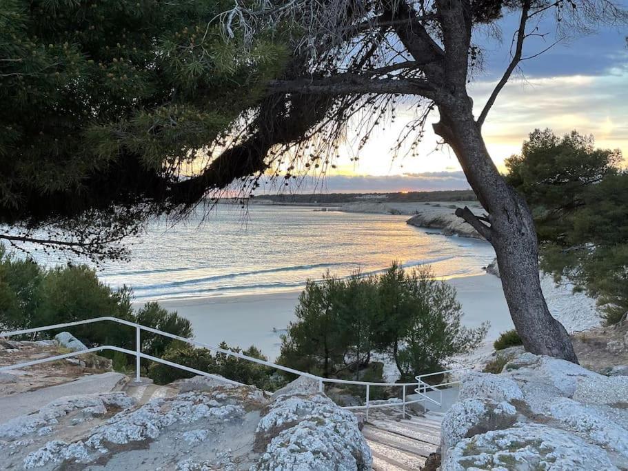 2 Pieces 45M2, Calme, Confort, Mer A 200M, Jardin, Terrasse, Piscine Martigues Luaran gambar