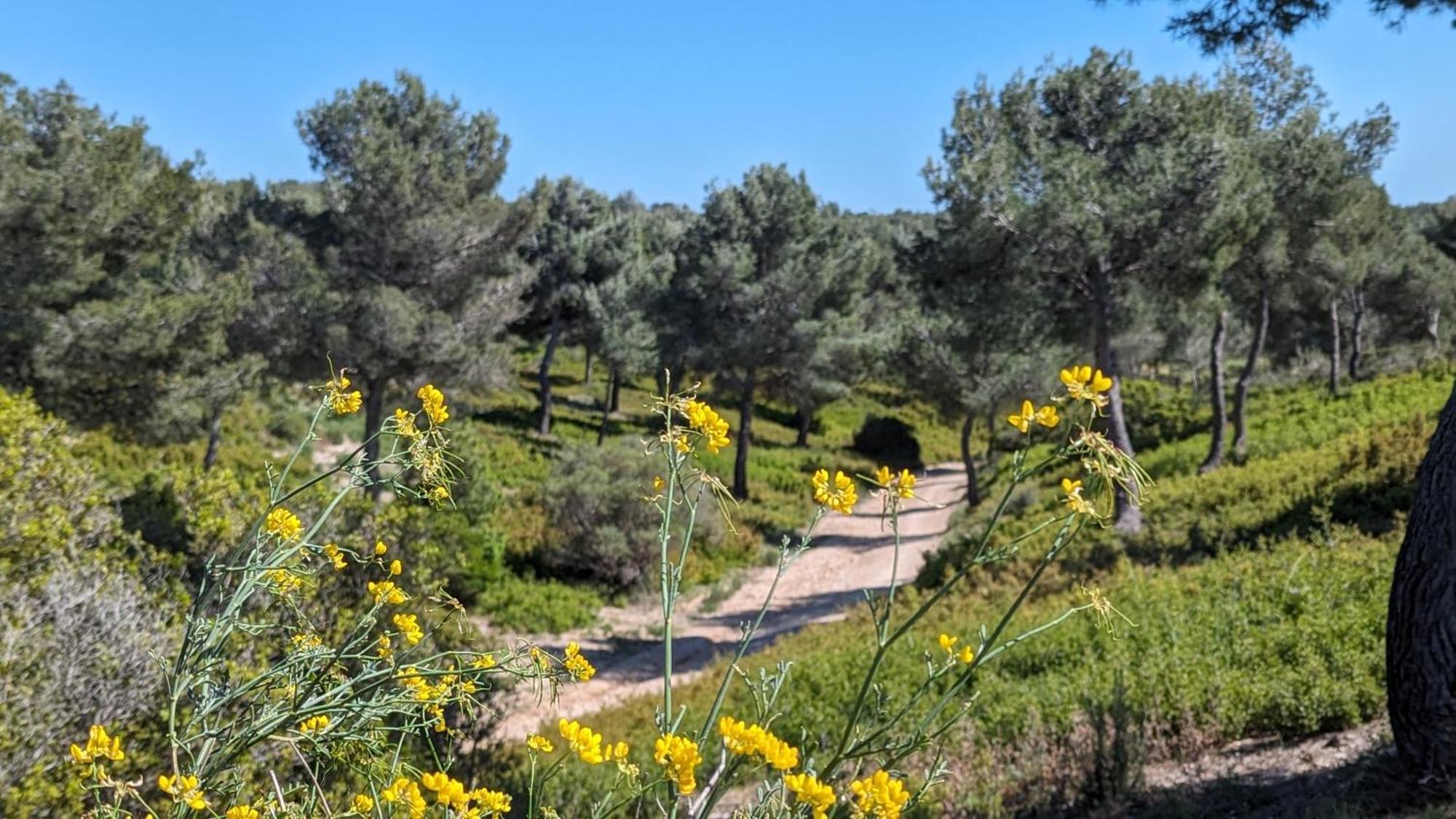 2 Pieces 45M2, Calme, Confort, Mer A 200M, Jardin, Terrasse, Piscine Martigues Luaran gambar